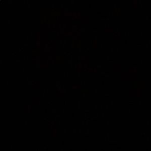 Meet your Posher, Keira